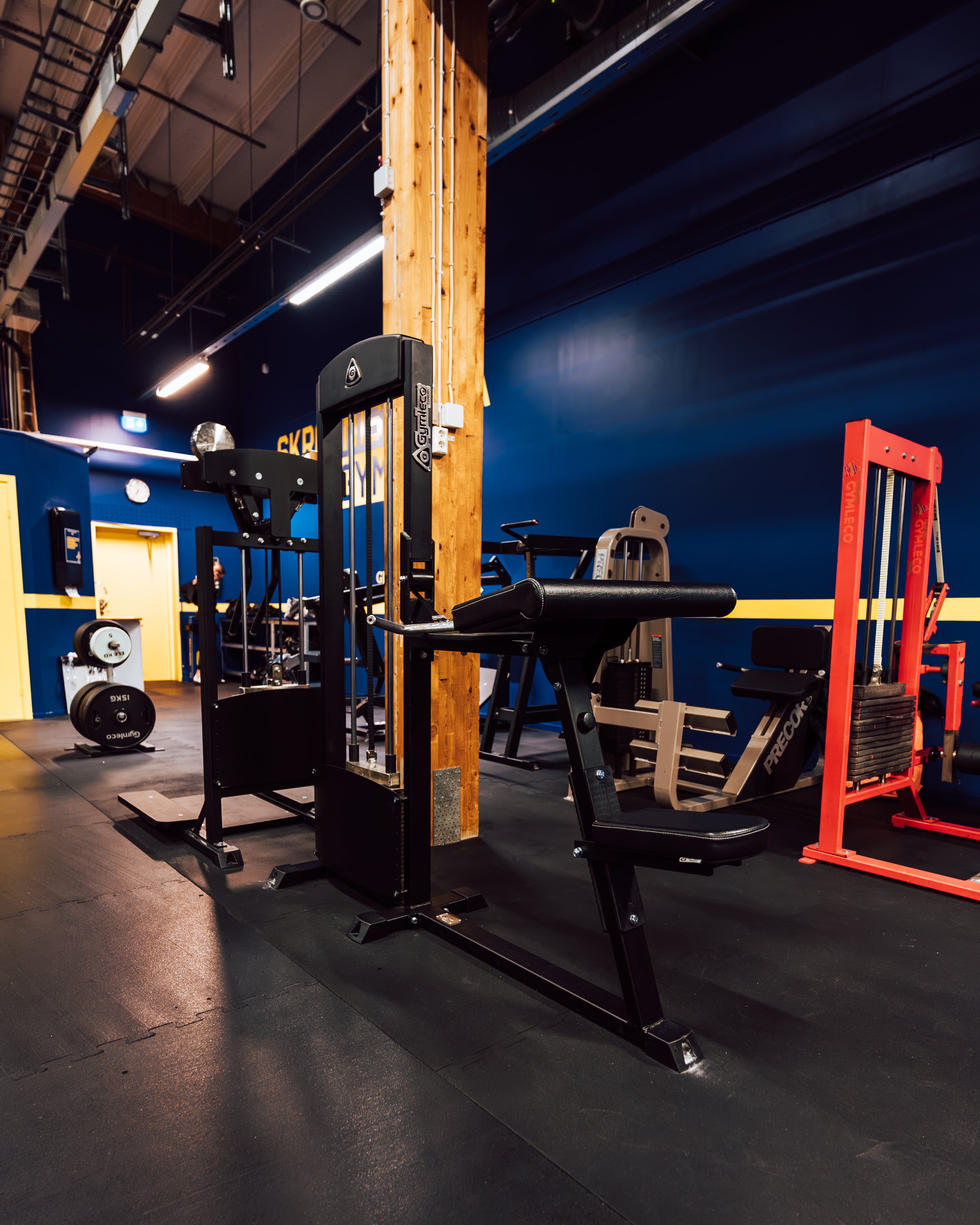 255 Biceps Curl/Triceps Extension