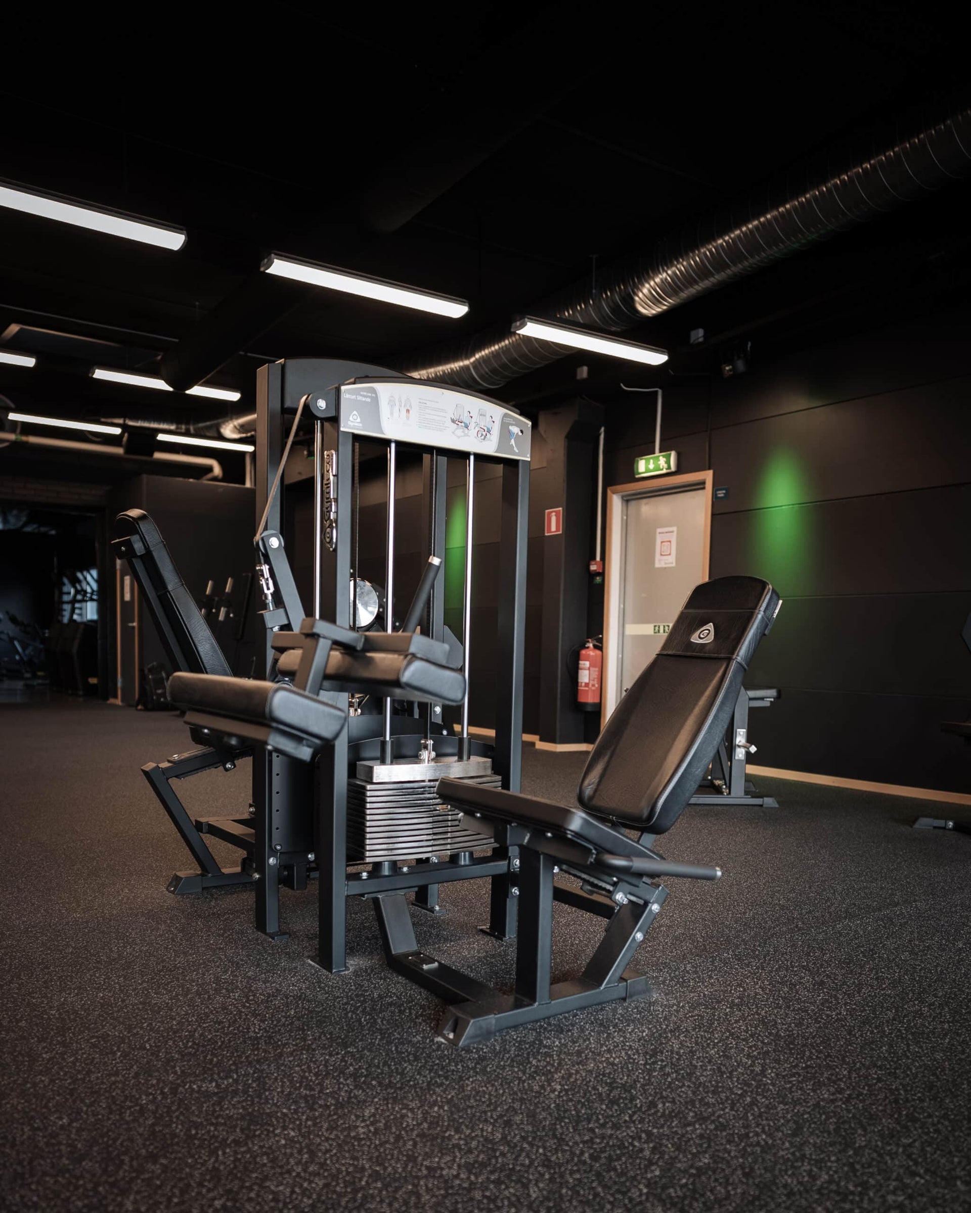 Seated Hamstring Curl Machine for Leg Strength – Gymleco