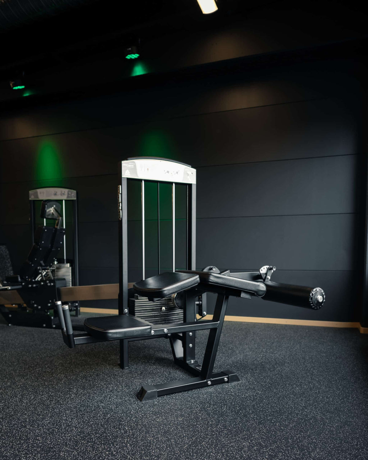 Lying Hamstring Curl Machine for Hamstring Development – Gymleco