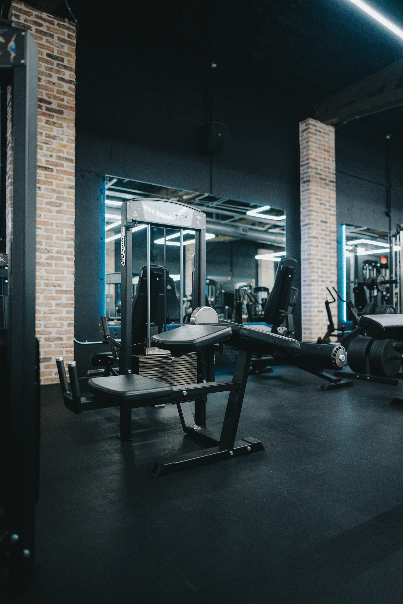 342 Lying Leg Curl at gym