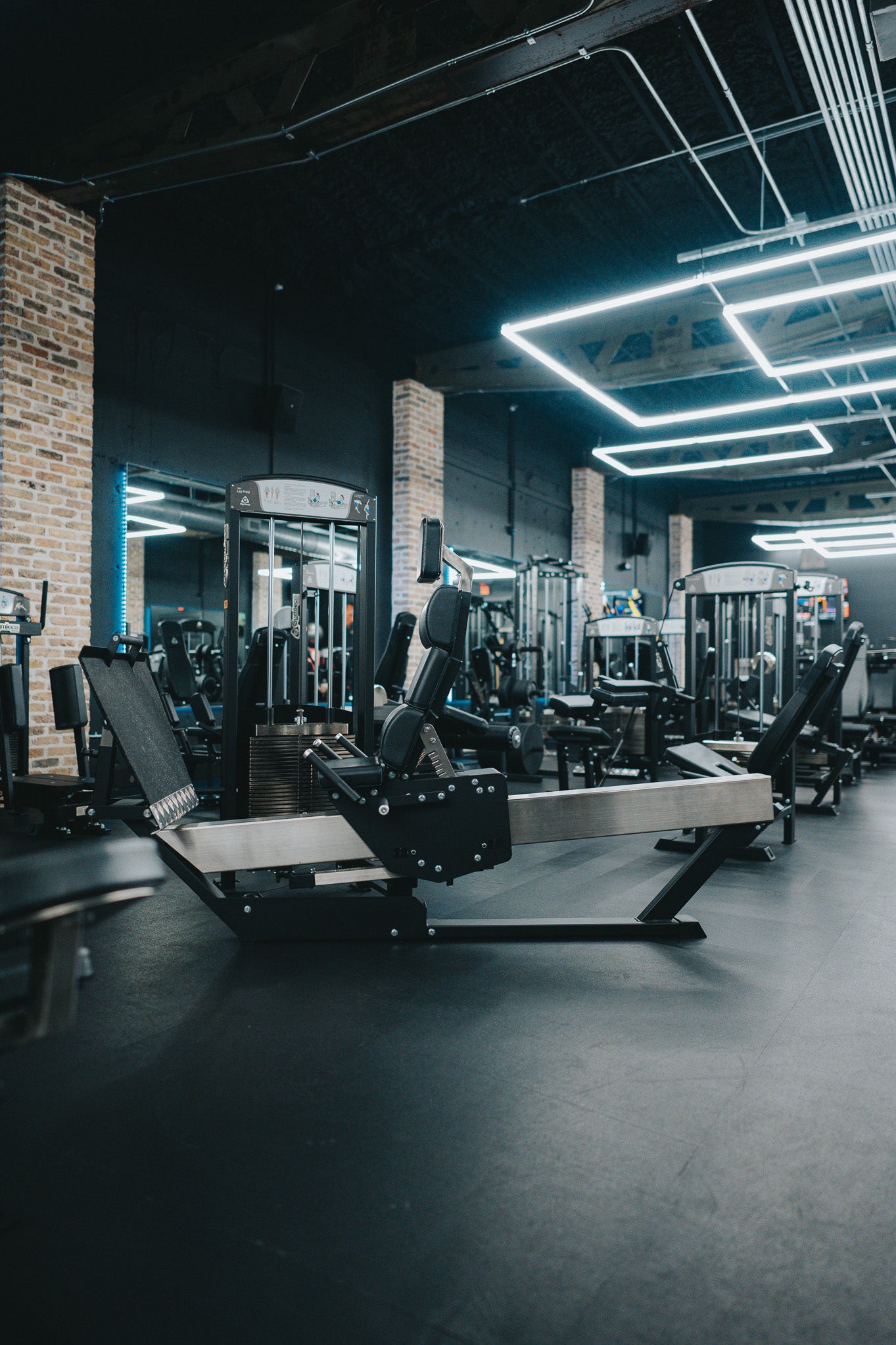 343 Seated Leg Press at gym