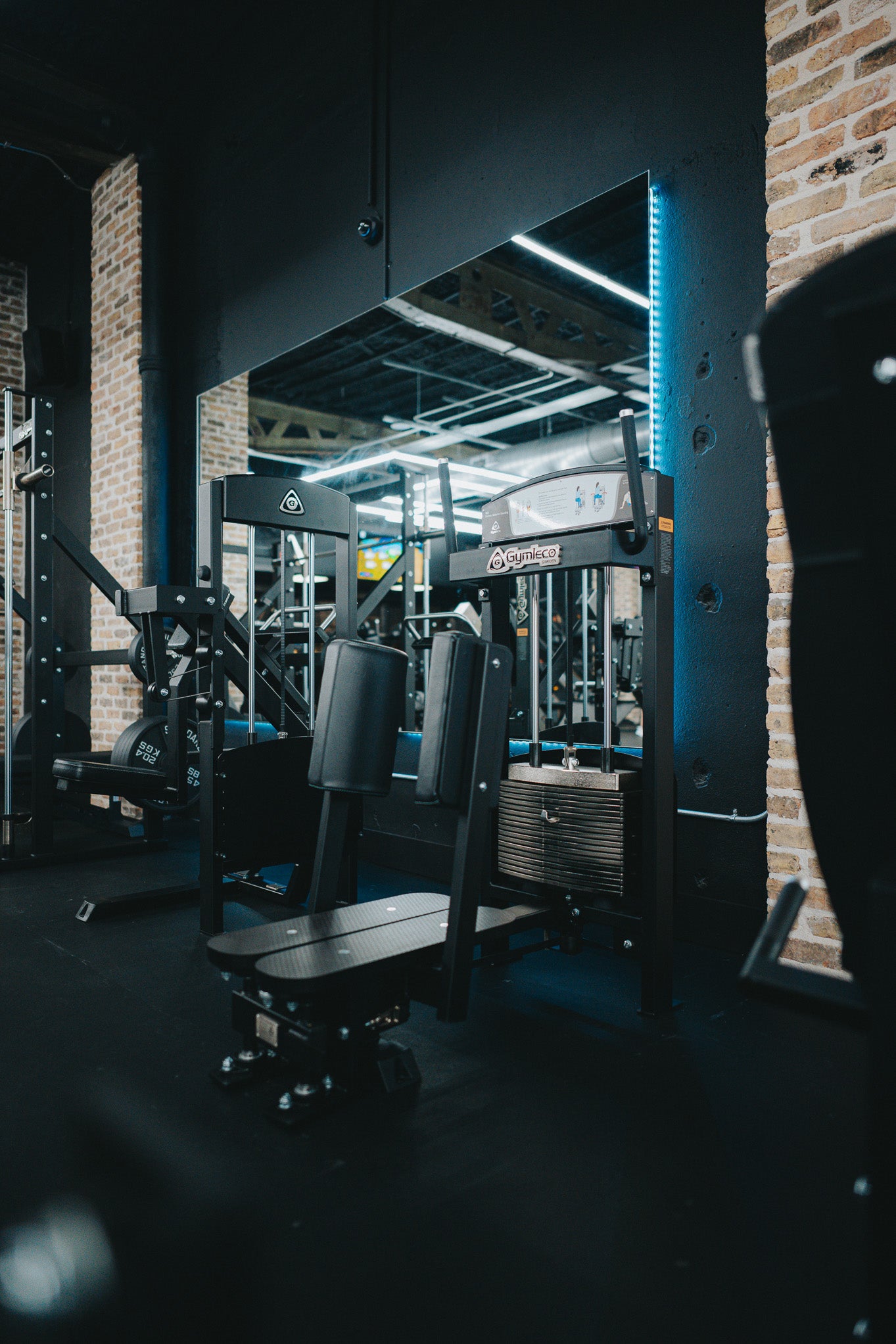 362 Standing Abductor at gym
