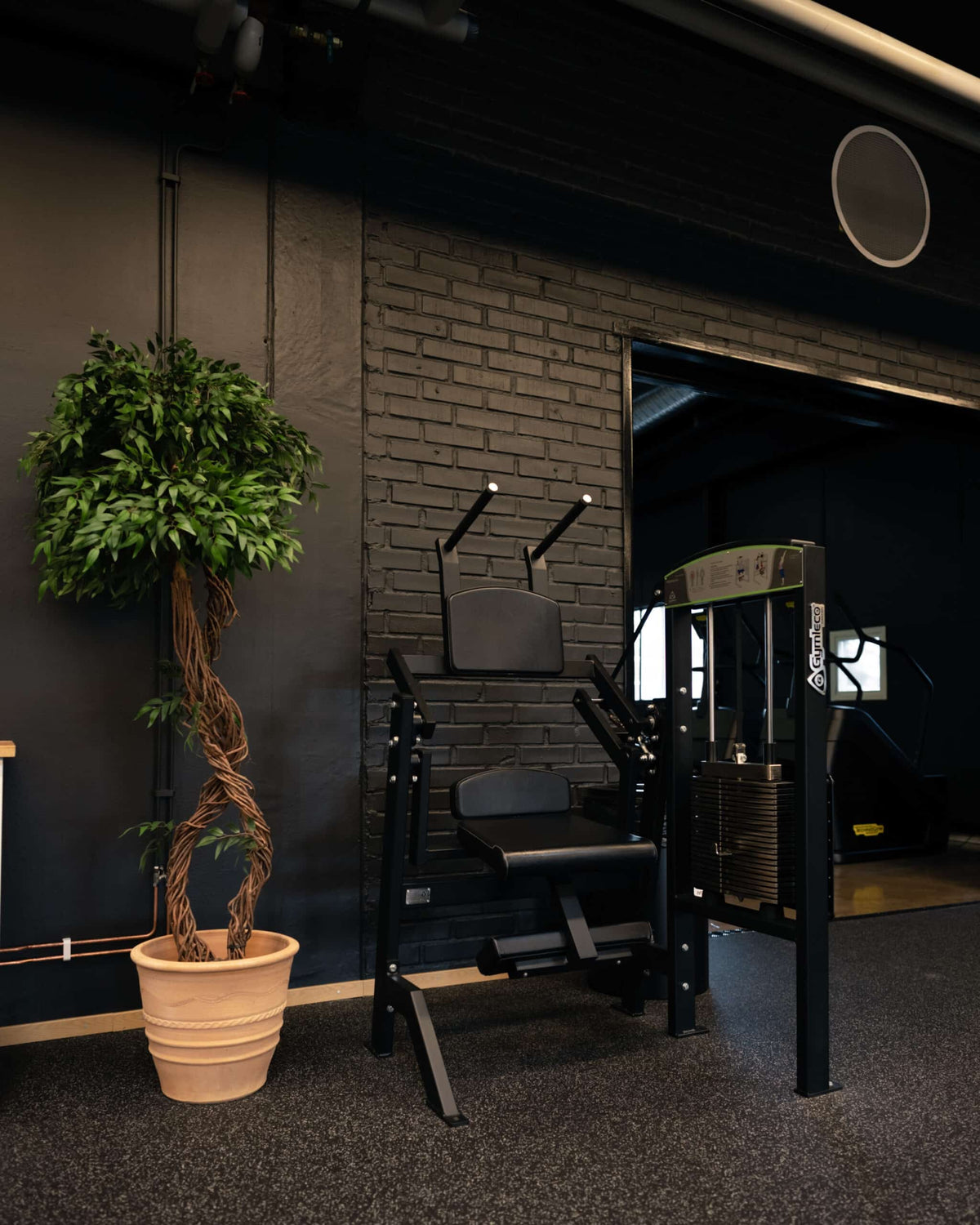 Seated Abdominal Crunch Machine for Core Strength – Gymleco