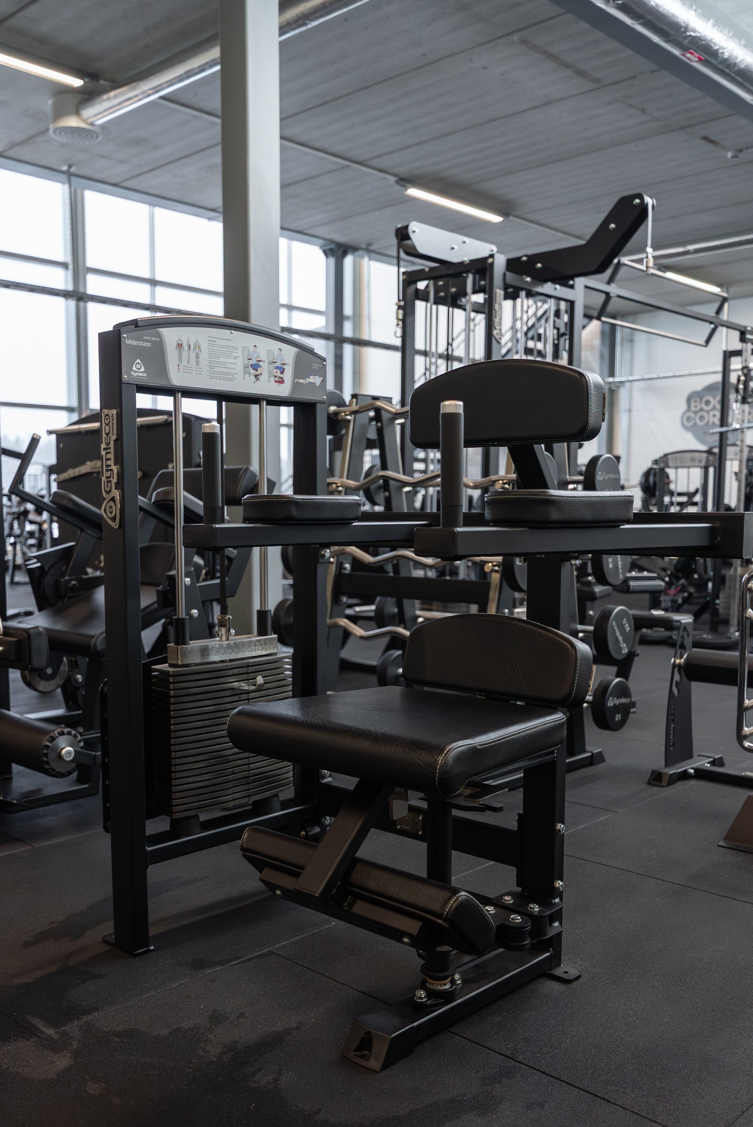 375 Torso Rotation at gym