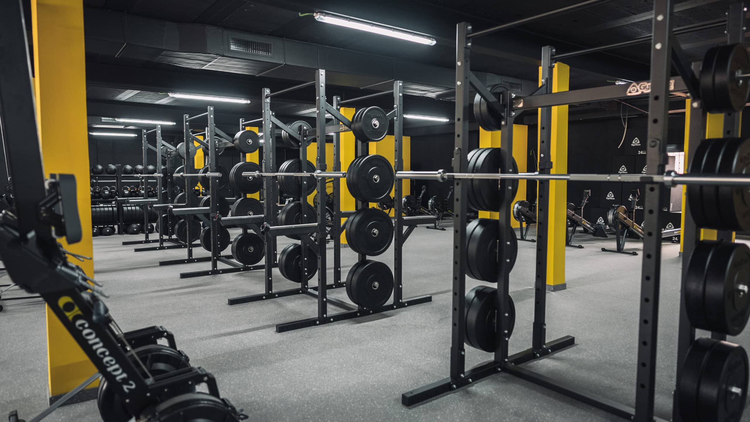 Double Half Rack for Dual Lifting and Space Efficiency – Gymleco