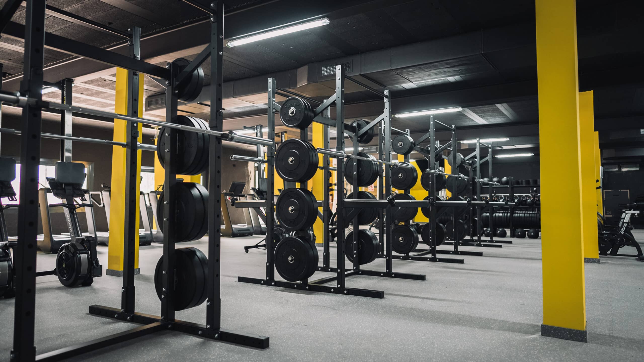 【発送可能】GYMLECO ジムレコ 848 ハーフラック スウェーデン製 専門店では ジムレコ 発送可能】GYMLECO 848 スウェーデン製
