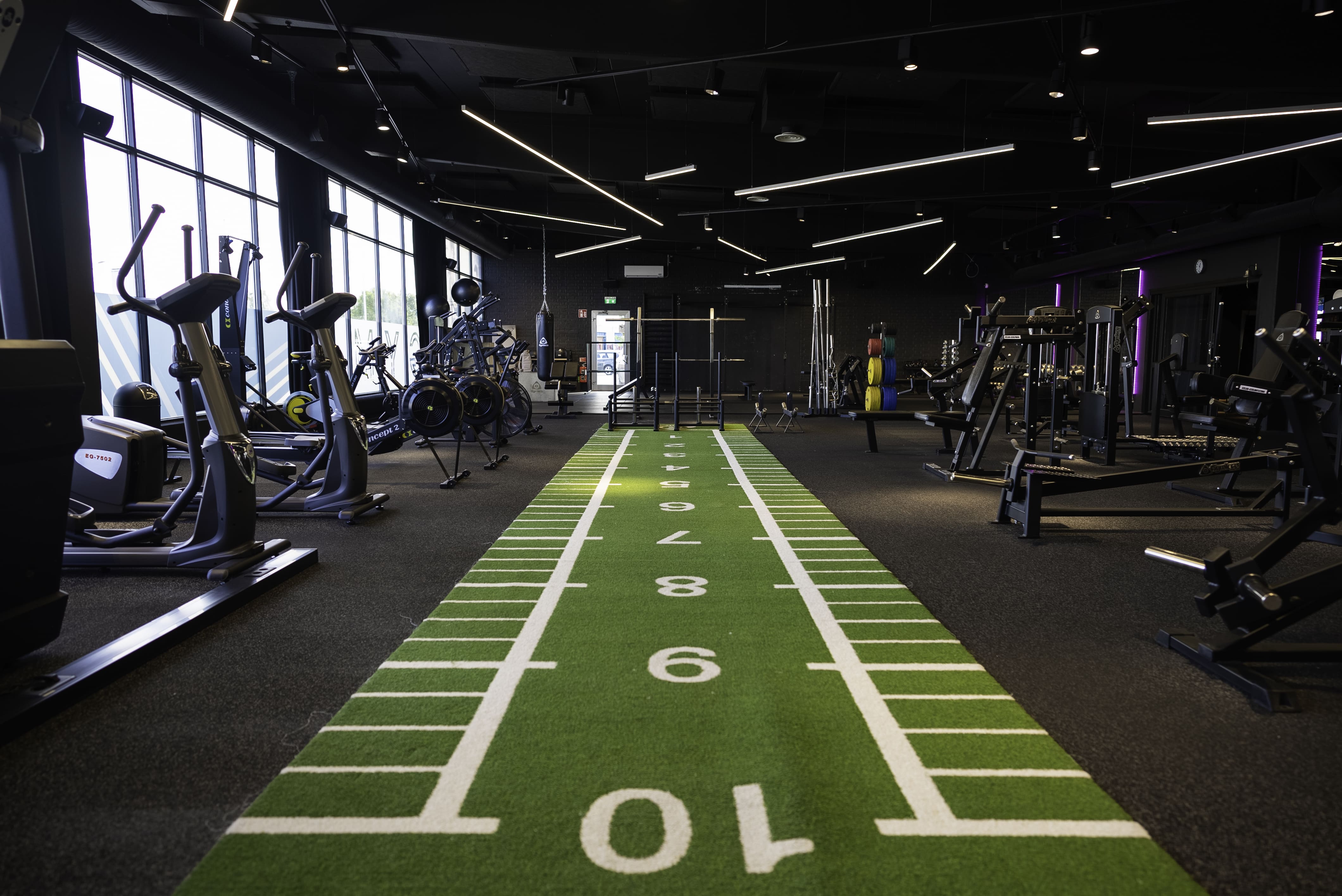 Gym Equipment for Home & Professional Gyms – Gymleco