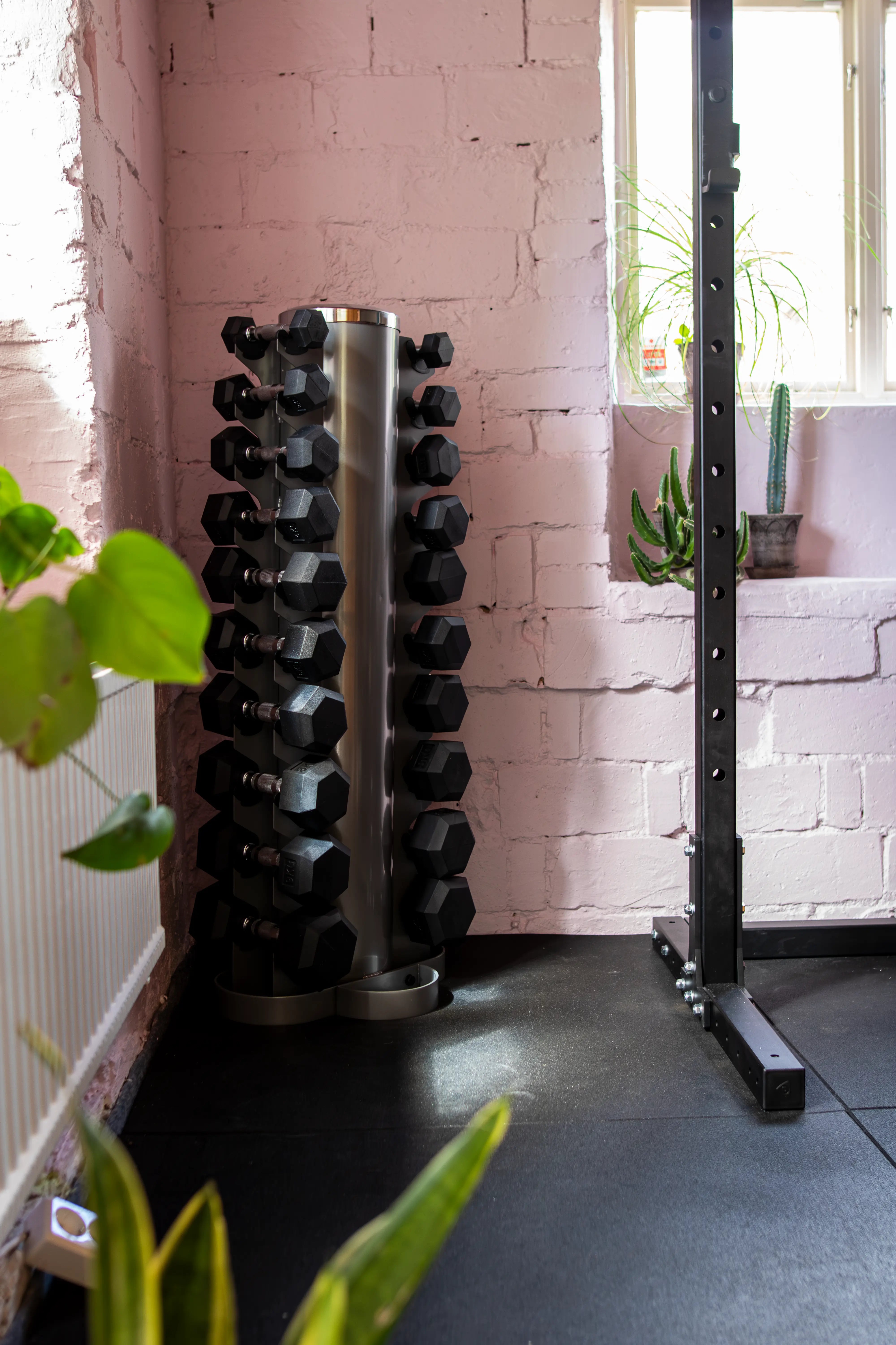 Stack of black dumbbells on a metal stand in a gym setting with a pink brick wall.