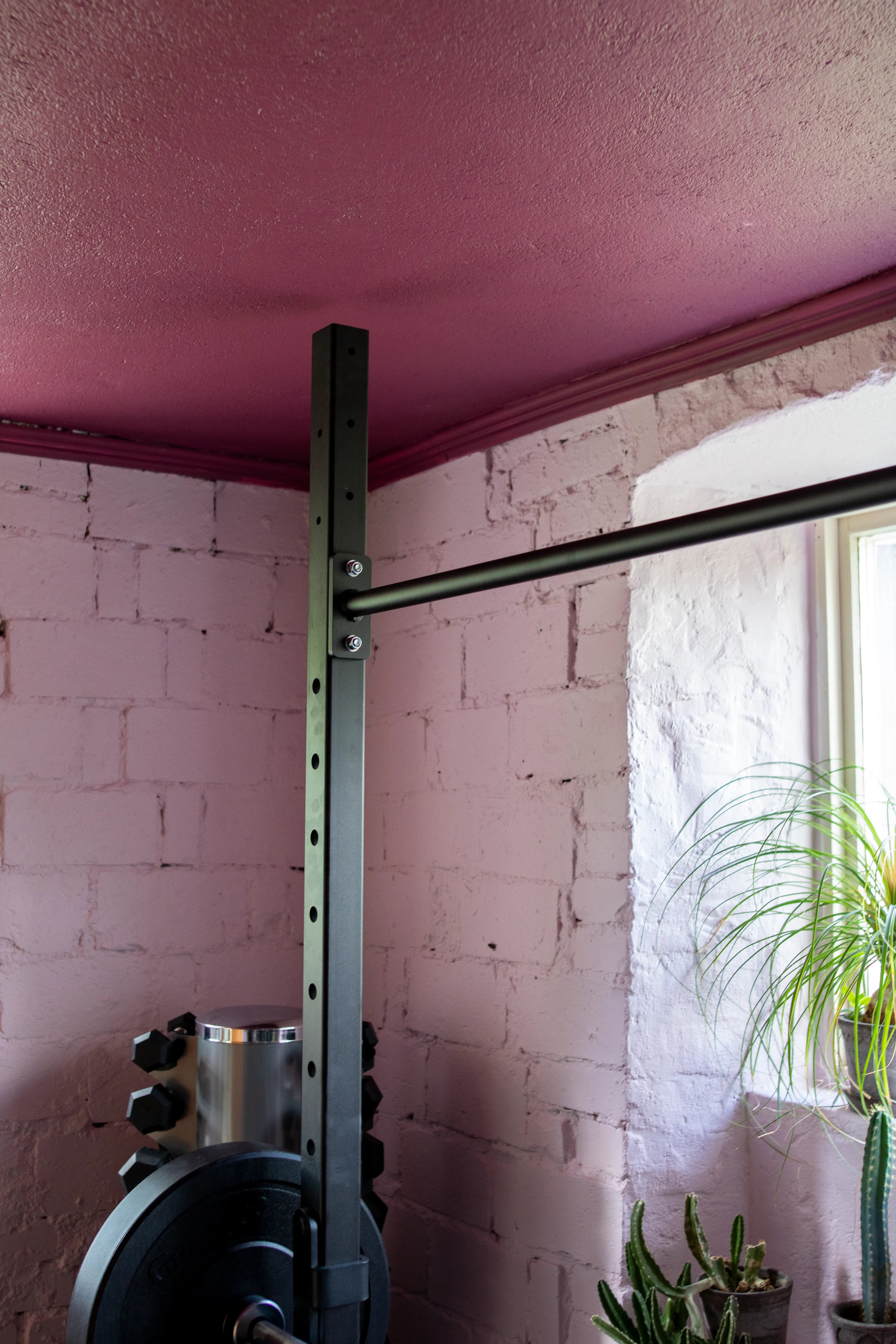 Gym bar against a pink wall with plants in the corner
