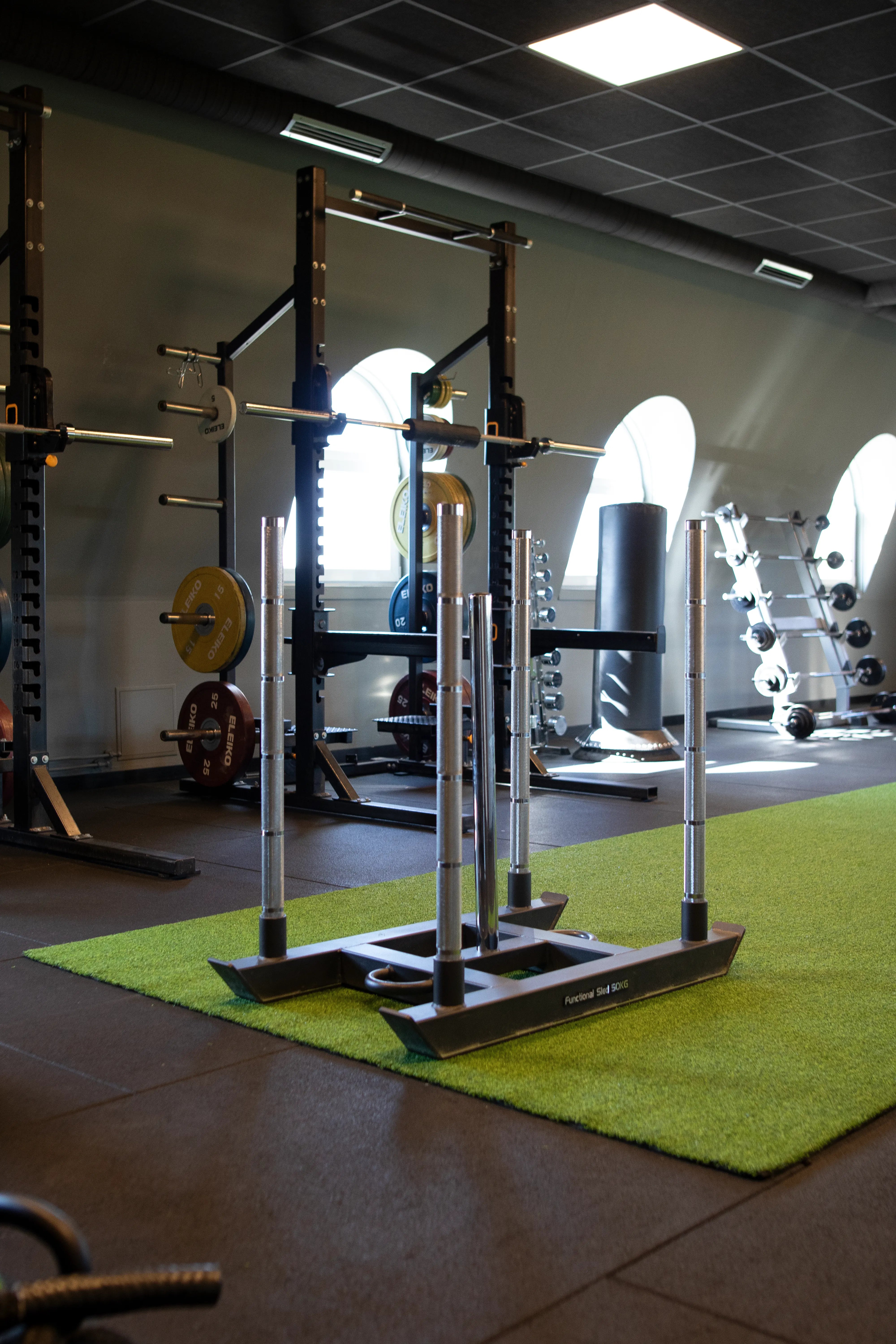 Gymleco Functional Sled at gym