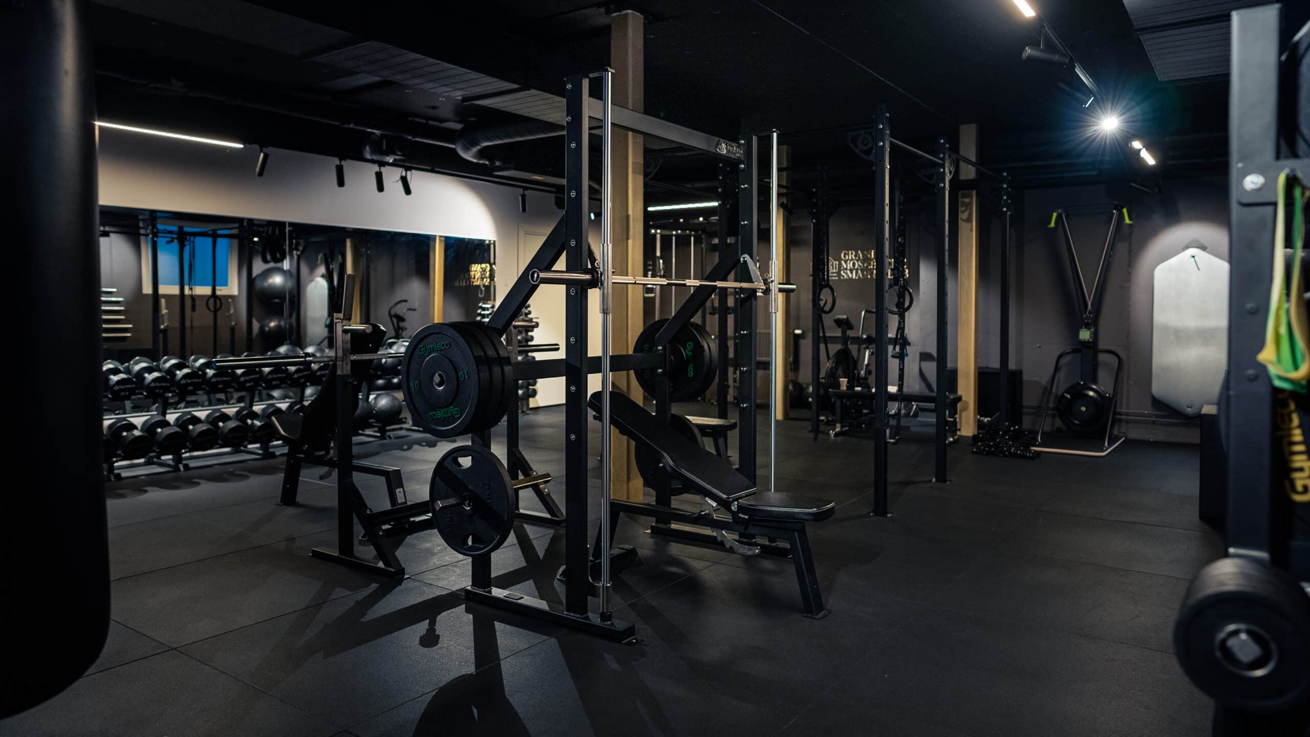 gymleco smith machine - smith maskin