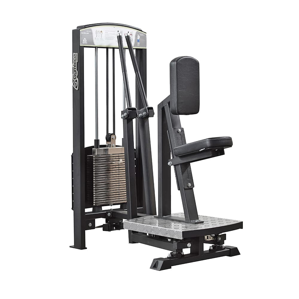 Gymleco 333 Rear Deltoid Shoulder 