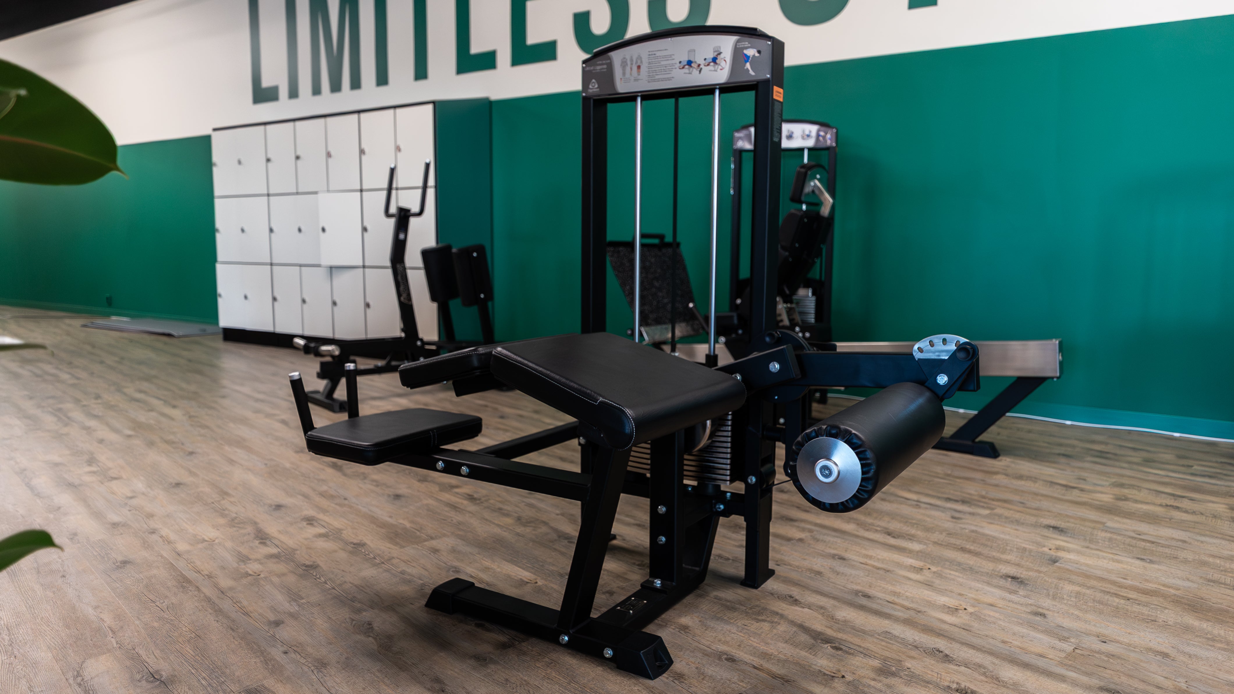 Gymleco 342R Lying Leg Curl, Adjustable at gym