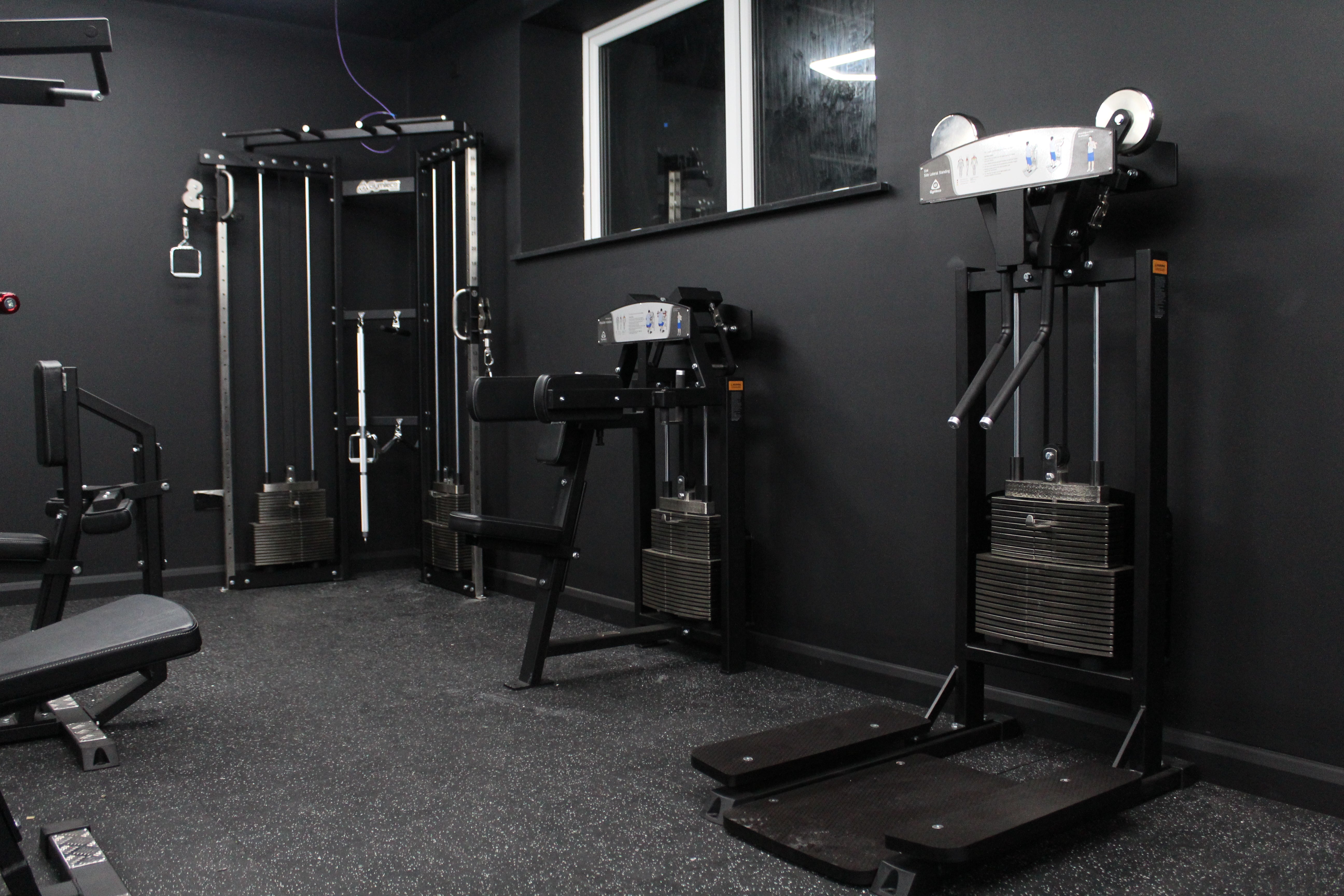 Gymleco equipment at Y Gampfa