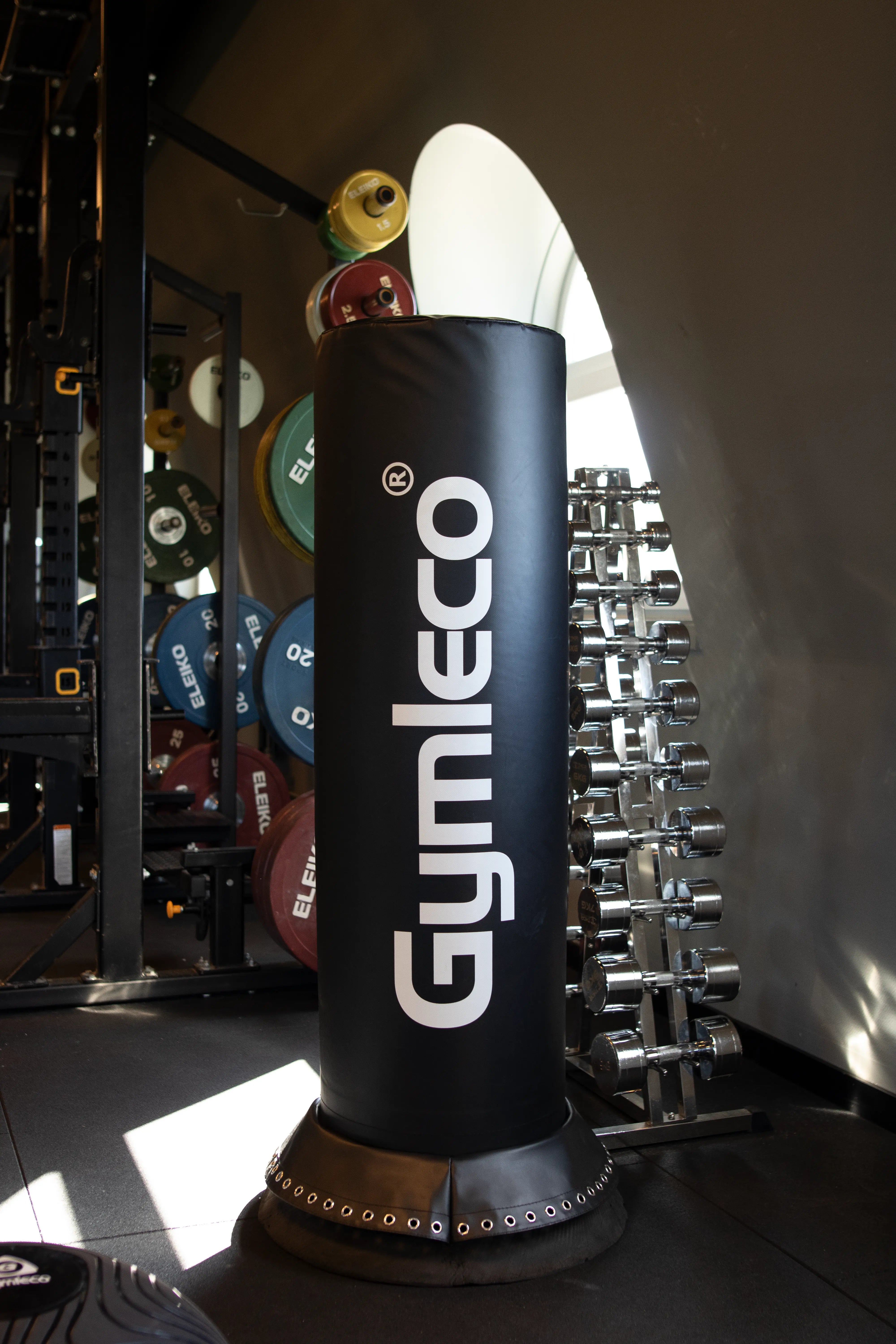 Standing Punching Bag at gym