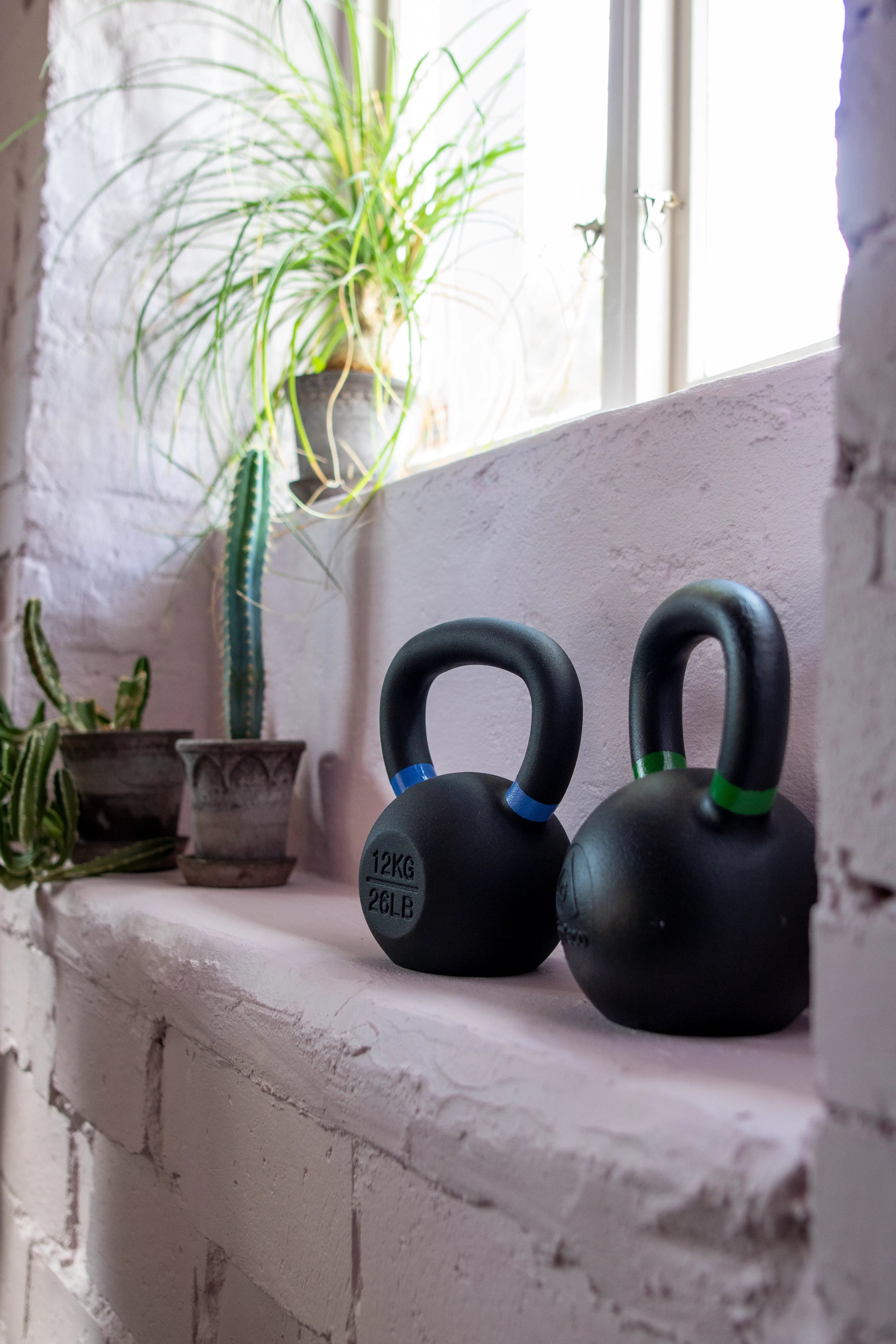 Two black kettlebells on a windowsill with plants in the background